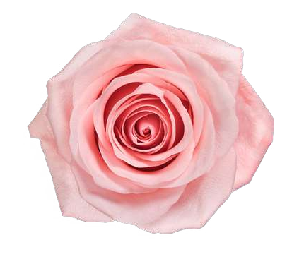 Be Sweet